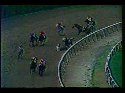 1982 Jockey Club Gold Cup (partial news clip) - Lemhi Gold