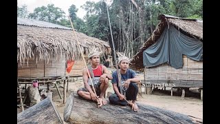 MyHeritage DNA Orang Asli from Malaysia  (Ethnicity Estimate v2.5)