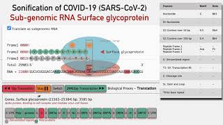 The Sound of the SARS-CoV-2 Genome: UTR to Surface Glycoprotein by Mark Temple 323 views 3 years ago 3 minutes, 14 seconds