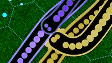 Sea Of Problems | Gulper.io