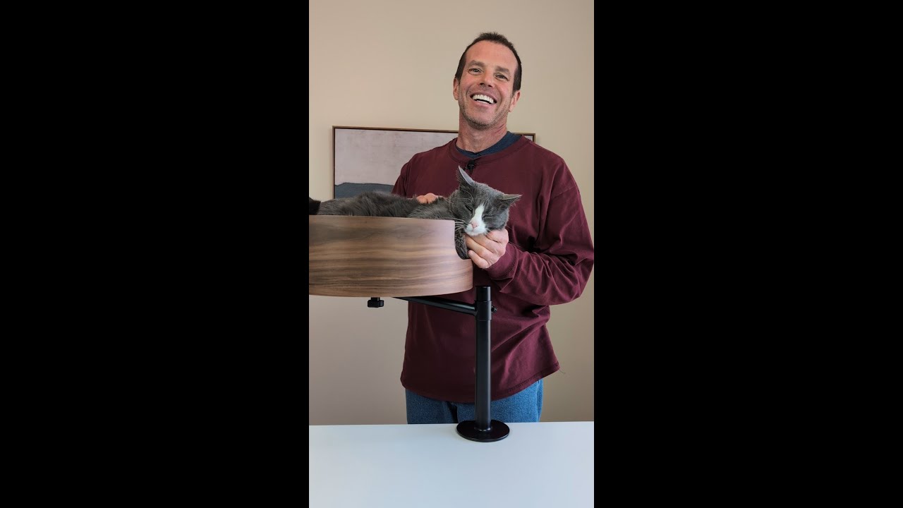 Desk Nest Cat Bed's Benefits, Features & Capacity YouTube