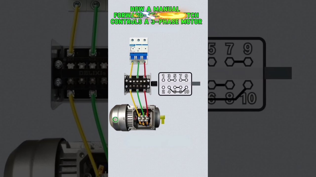 How Manual Switch Can Reverse A 3 Phase Motor Every Electrician Must Know 