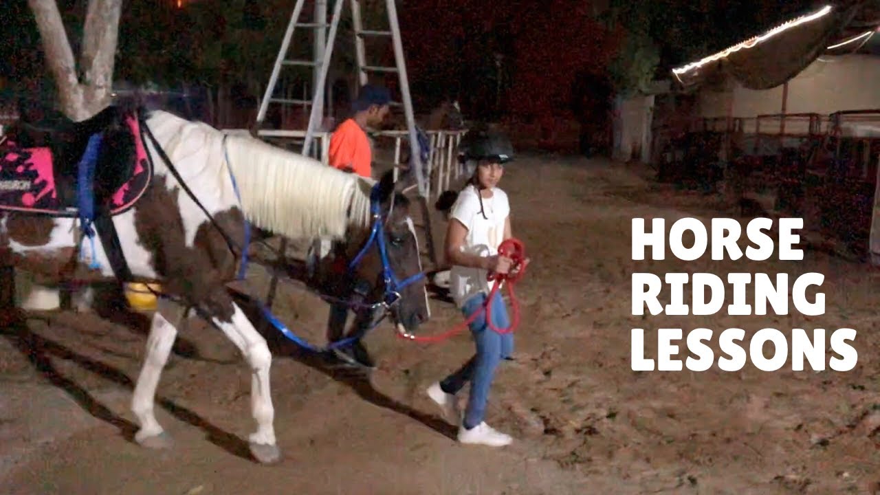HORSE RIDING LESSONS IN DUBAI BEGINNER LEVEL YouTube