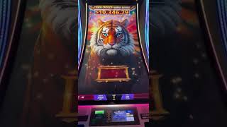 Super Tiger and Dragon seems like a great slot sequel!