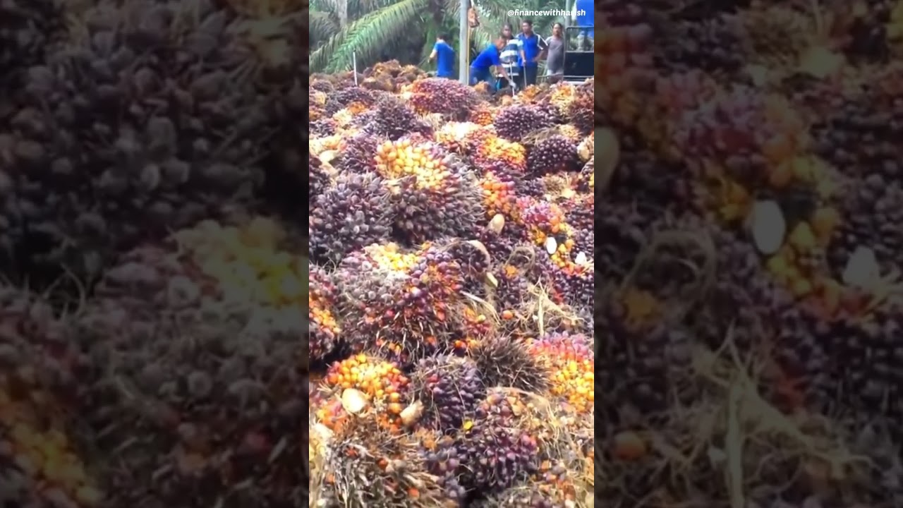 Adani wilmar business model 