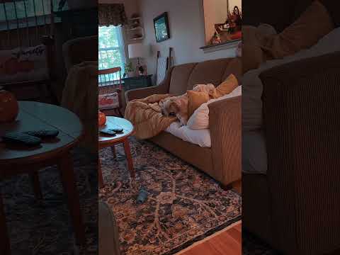 YUNA Building Up Her Nerve 