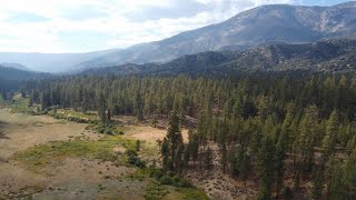 An Ode To Heartbar Meadow - San Bernardino Mountains, Ca