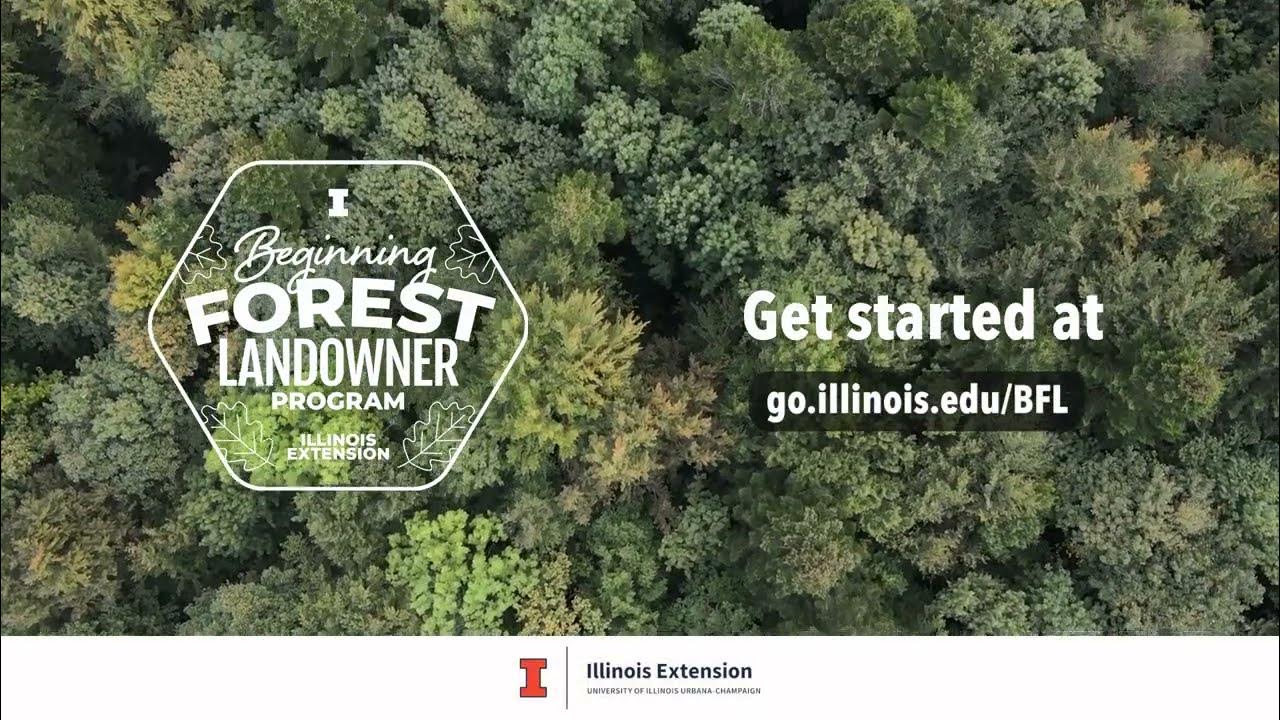 Illinois Beginning Forest Landowner Program Promo YouTube