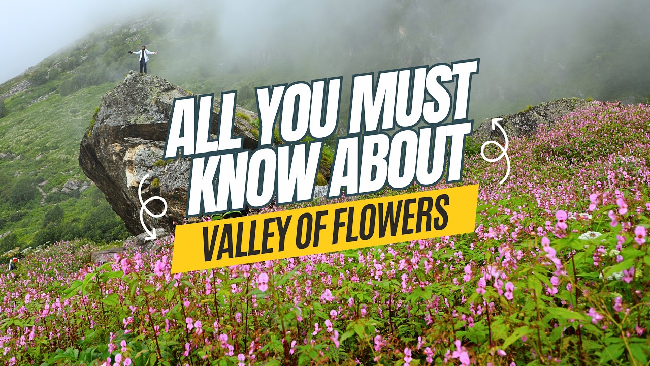 All You Must Know About the Valley of Flowers Trek | Invincible NGO