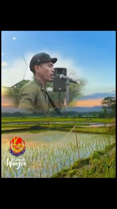 Iksan Skuter - Angin,Matahari,Rumah,& Mimpi #shorts #storywa #iksanskuter #statuswa