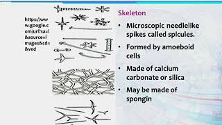 BT101_Topic142
