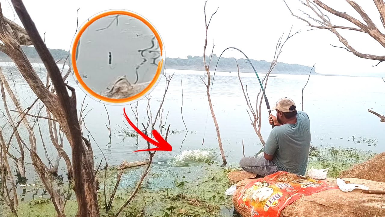 Biggest Miss Of My Life? 😭 | Float fishing technique🎣 | Single hook Fishing