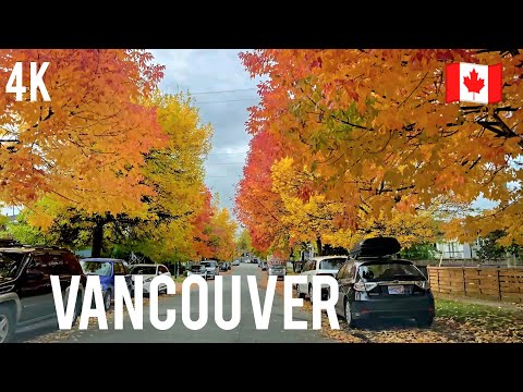 🇨🇦  [4K] 🌞 🍁 Fall Road Trip in Vancouver & Richmond BC, Canada