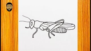 How To Draw A Cricket (insect) News
