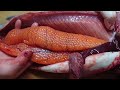 Caviar Extracting & Clean Red Caviar ★ Salmon Caviar ★ Easy way to Clean Caviar