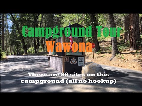 Wawona Campground Tour in Yosemite National Park June 2022