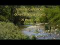torrente Casternone dove c'è acqua c'è vita 20 Maggio 2026.