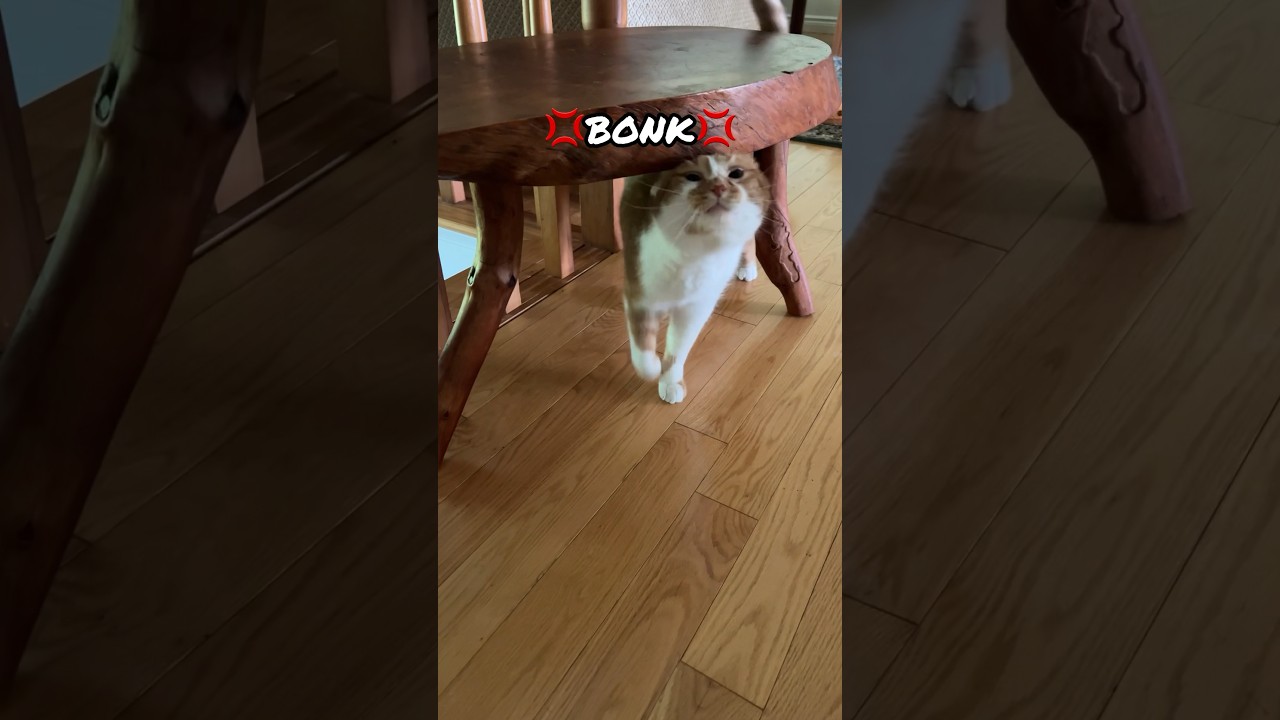 I can’t keep up with him…