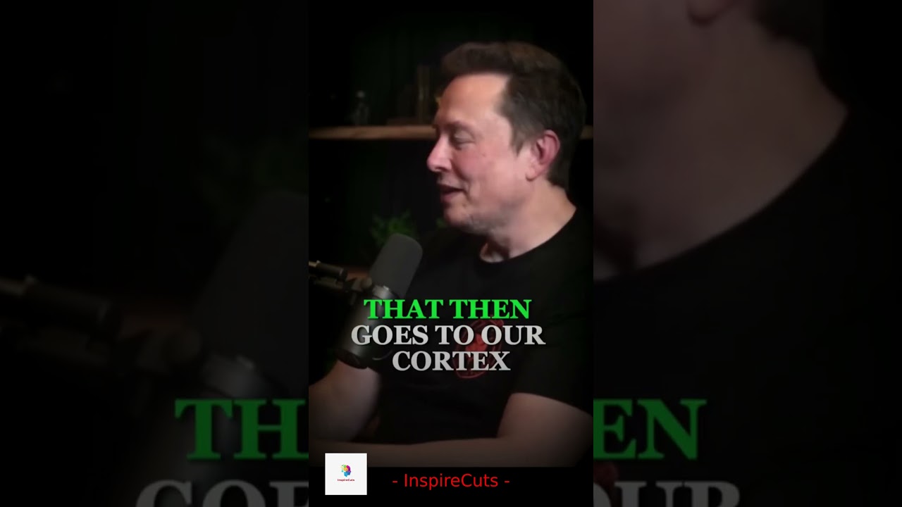 Elon Musk The Joy of Innovation! Driving Future Technologies Forward 🌟🚀 