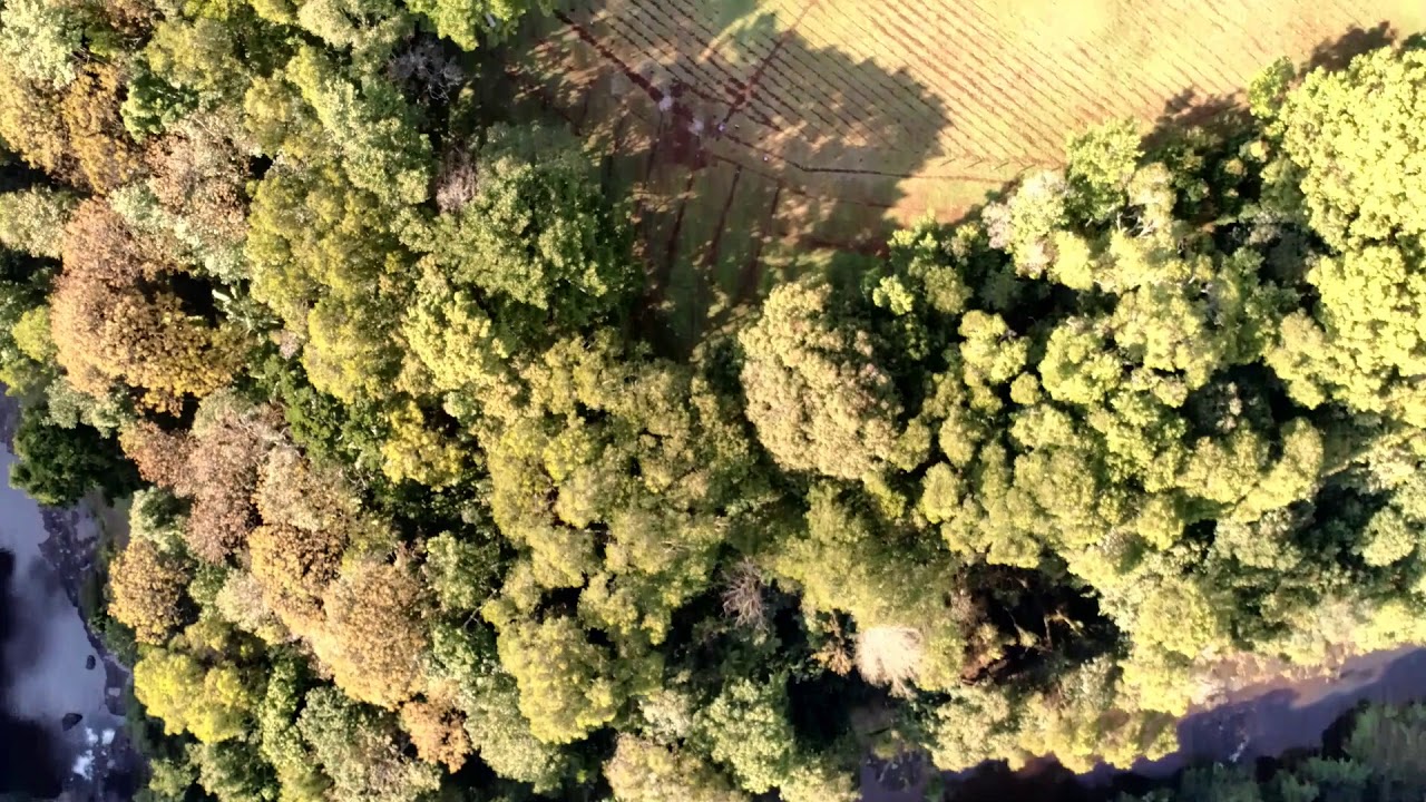 Spicers Retreat Queensland Australia