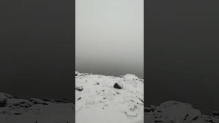 First #snow of December - #winter #hiking #dog
