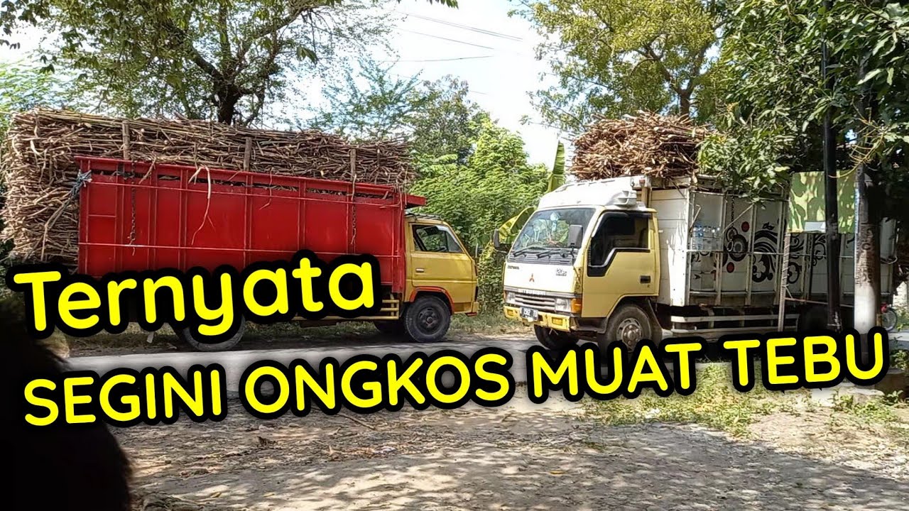 Hasil muat Tebu