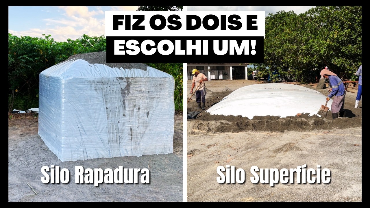 Fiz os Dois Tipos de Silo e o Resultado Me Surpreendeu!