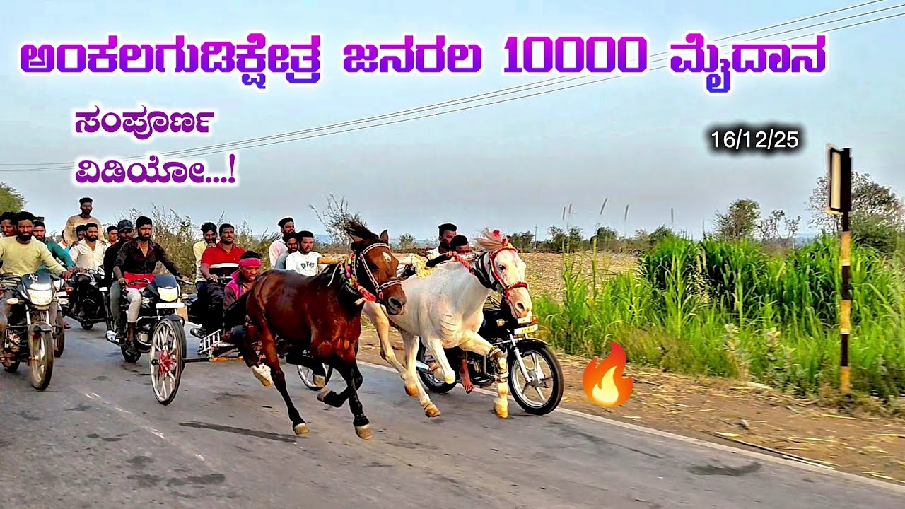 ಅಂಕಲಗುಡಿಕ್ಷೇತ್ರ ಜನರಲ 10000 ಮೈದಾನ🔥😱 16/12/25  #horseracing #horsepower #horseriding #horse 