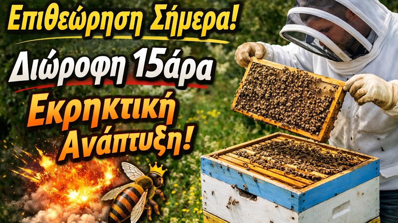 «Αυτό το μελίσσι ξέφυγε!  Επιθεώρηση ΙΑΝΟΥΑΡΊΟΥ»