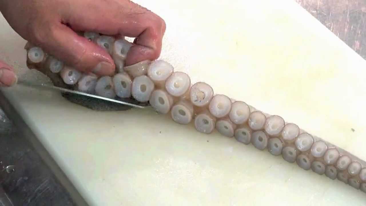 生たこの刺身の作り方 How To Octopus Of Cooking Sashimi Japanese Food Takoyaki Youtube
