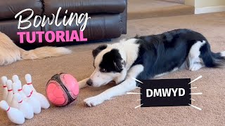 Bowling: Dog Trick Tutorial  DMWYD