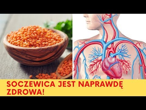 Soczewica – Dlaczego warto ją jeść? ZOBACZ KONIECZNIE