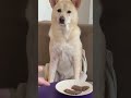 いつも小さくしないと食べない