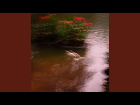 Mira Duality en YouTube Mira Duality en YouTube