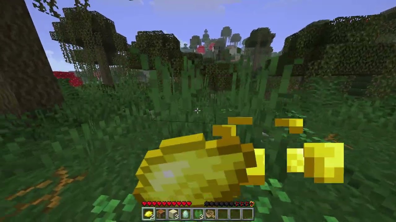 Raspberry Flavoured speedrun | Coleslaw%, 