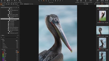 Deleting Your Capture One Rejects