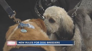 New Standards Introduced For Dog Breeders