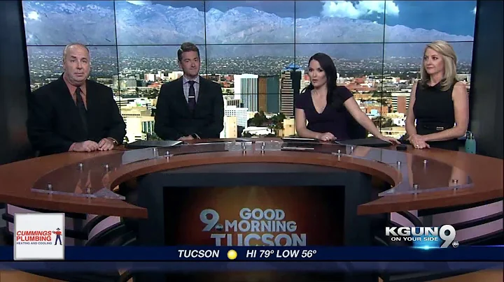 Tonto Forest to offer Christmas tree permits