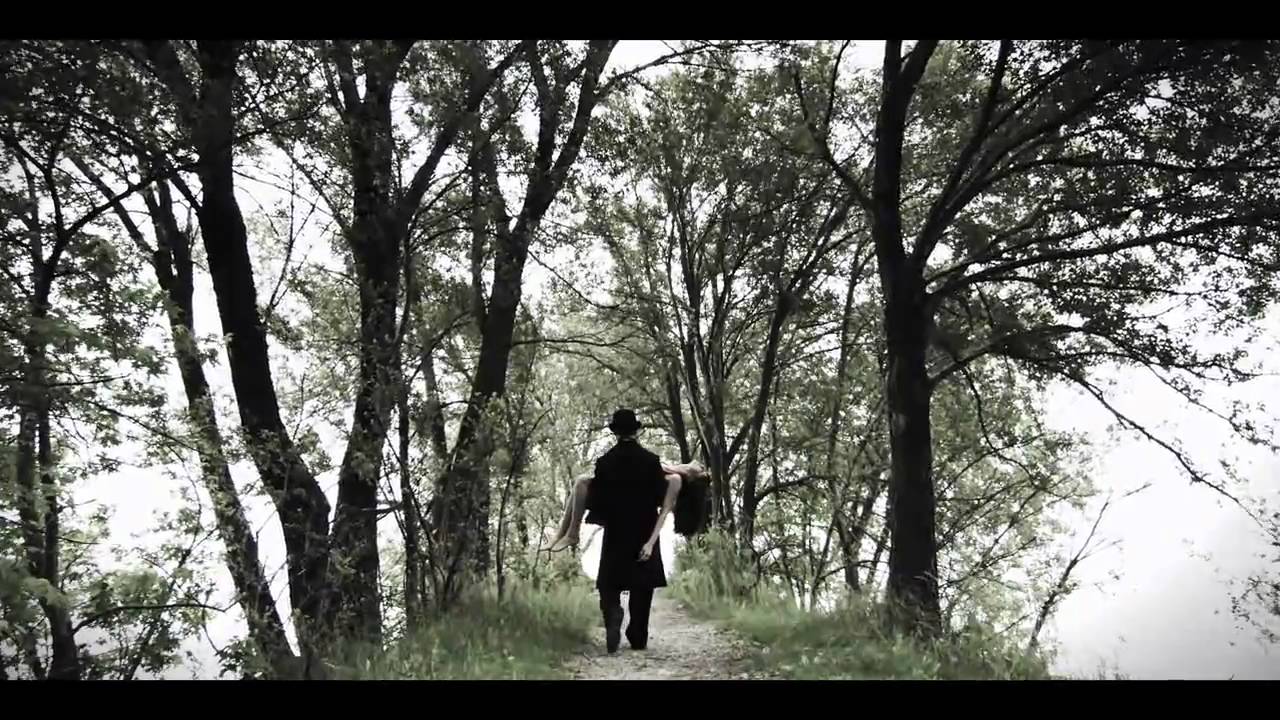 Guarda Bird - La Notte su YouTube Guarda Bird - La Notte su YouTube