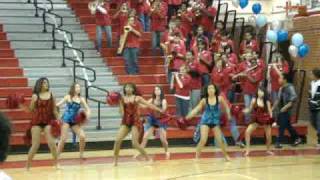 sadies assembly  vikettes