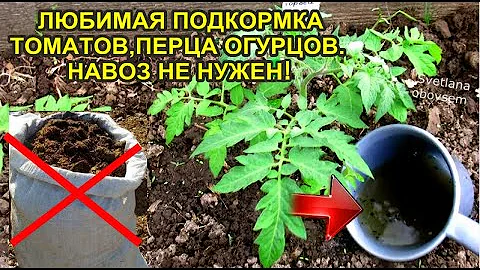 НАВОЗ ИЗ ТРАВЫ! СЕКРЕТ РАСКРЫТ! ОБОЖАЮТ ТОМАТЫ, ПЕРЕЦ,ОГУРЦЫ.ПО СИЛЕ ПИТАНИЯ ПРЕВОСХОДИТ НАВОЗ