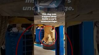 No One Expected to Find Her There
