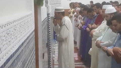 تلاوة مميزة ورائعة للاخ حمزة الشرادي حفظه الله