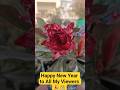 Happy New Year to All My Viewers 🎉🎊 #adeniumflowers #adeniumdesertrose #terracegarden #desertrose
