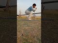 squats workout #viral #shorts