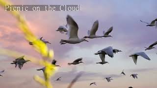 Kai Lim - Picnic on the Cloud