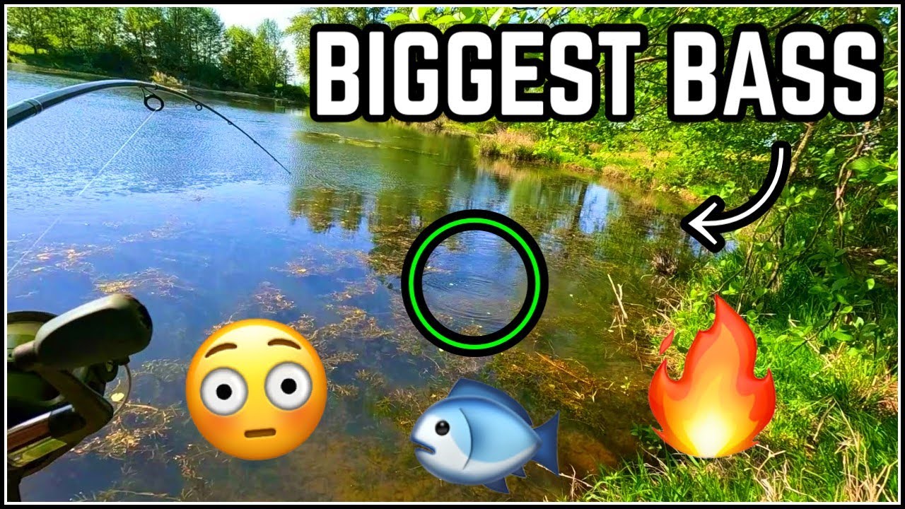 INSANE STRIKE on MY BIGGEST BASS EVER!! (Bass Fishing)