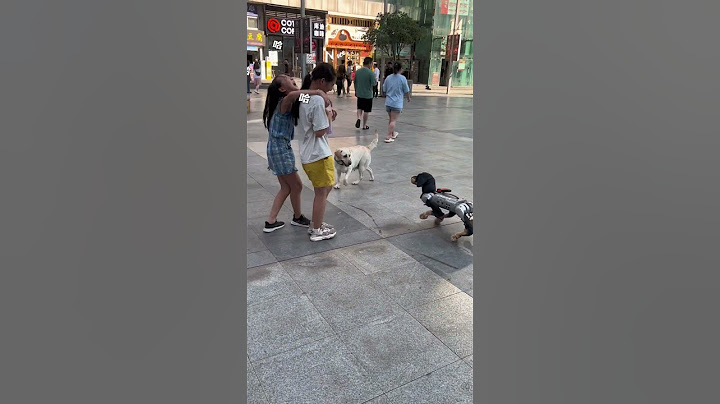 robot dog vs real dog #robot #dog #robotdog