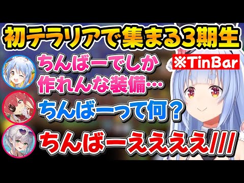 初めてのテラリア配信で続々と集まる3期生、ぺこちゃんの『ちんばー』に過剰反応するノエマリｗ【ホロライブ/兎田ぺこら/宝鐘マリン/白銀ノエル】