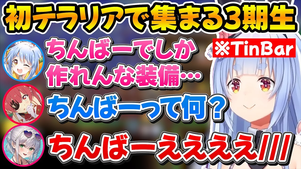 初めてのテラリア配信で続々と集まる3期生、ぺこちゃんの『ちんばー』に過剰反応するノエマリｗ【ホロライブ/兎田ぺこら/宝鐘マリン/白銀ノエル】